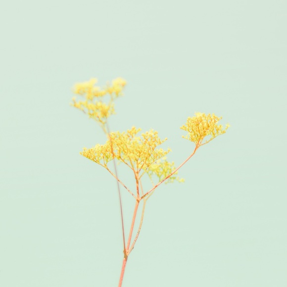 Meet your Posher, Katie - Picture 1 of 1